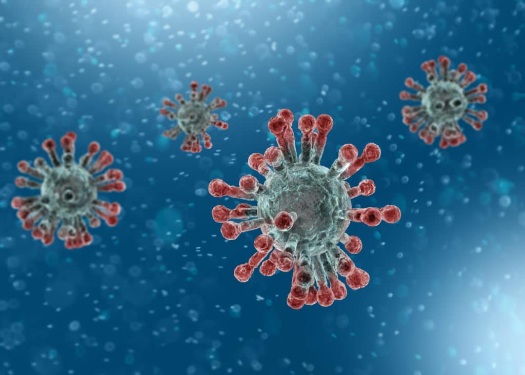 This image has an empty alt attribute; its file name is virus-picture-1024x731.jpg